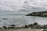 DSC08203