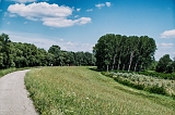 SAM_2054