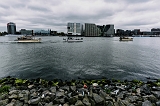 DSC00533