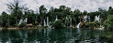 DSC03552