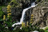 DSC01065