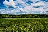 DSC04290