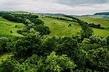 DSC04352