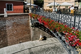 DSC02484