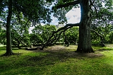 DSC02977