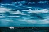 DSC00425