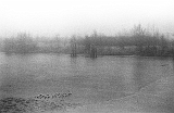 fp4_110321_01_067
