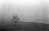 fp4_110321_01_068