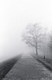 fp4_110321_01_070