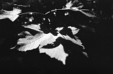 11_07_10_fp4_017