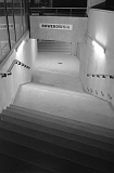 11_08_05_acros100_005