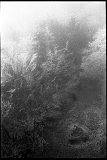 11_11_27_hp5_022