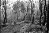 11_11_27_hp5_026