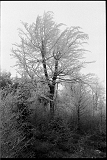 11_11_27_hp5_032