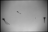 12_10_13_08_400tx_277