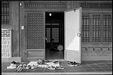 12_10_13_17_400tx_640