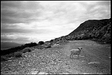13_04_24_400tx_006