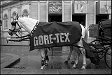 13_05_06_400tx_106