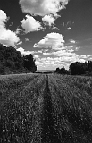 11_07_10_mysliborz