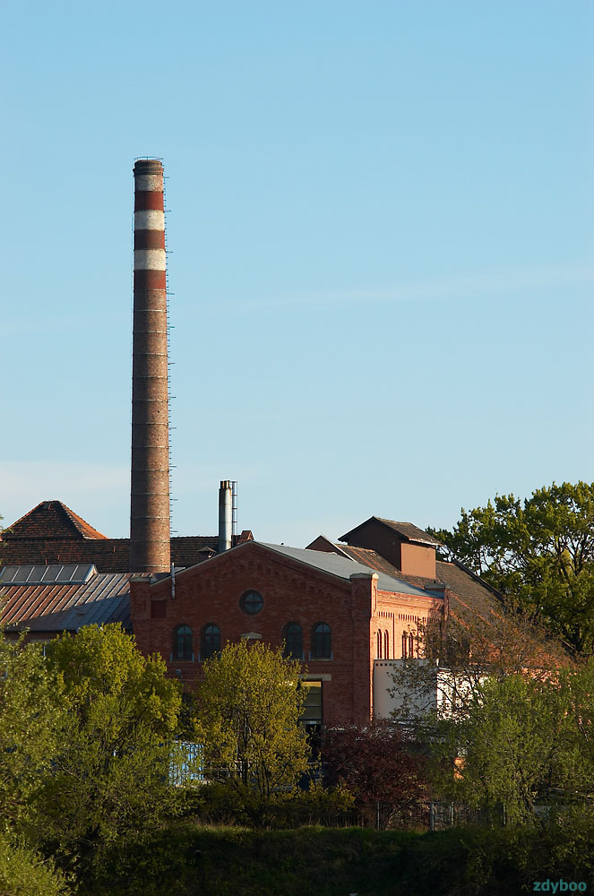 _DSC7440.jpg - Tomasz Zych zdyb_o2@o2.pl