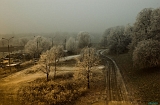 _DSC0530