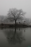 _DSC0547