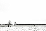 _DSC7094