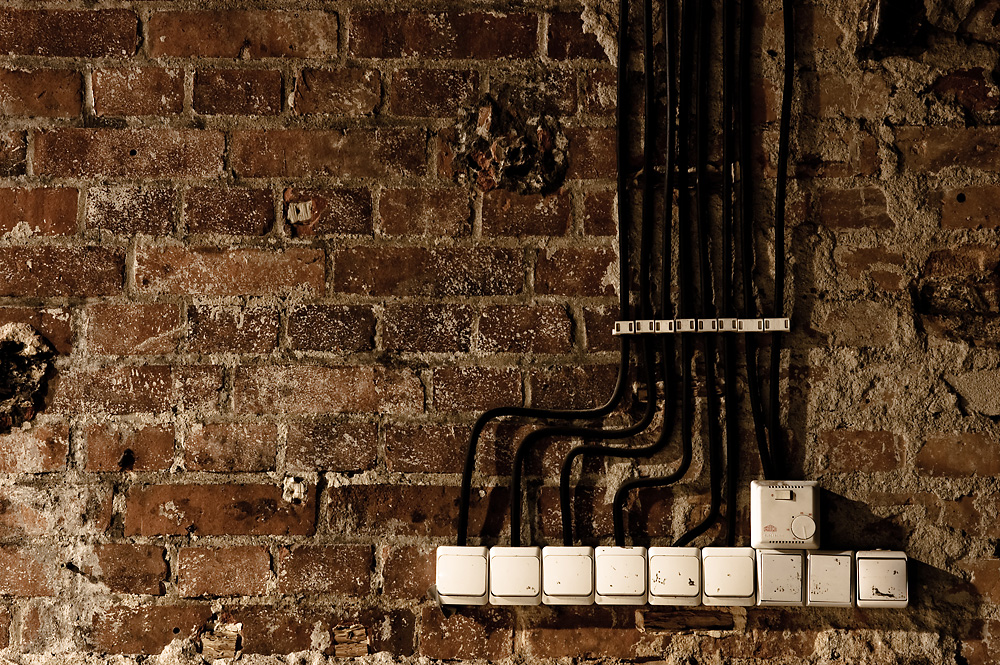 _DSC7980.jpg - Tomasz Zych zdyb_o2@o2.pl