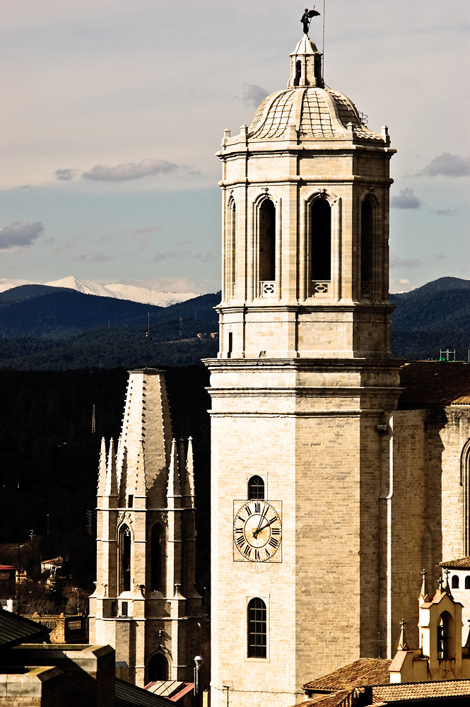 _DSC9081.jpg - Tomasz Zych zdyb_o2@o2.pl