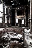 _DSC0269