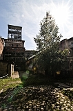 _DSC5517