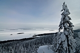 _DSC7008