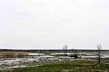 _DSC7206