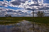 _DSC7537