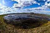 _DSC7546