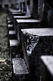 _DSC7264