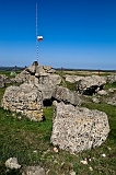 _DSC7612