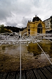 _DSC7817