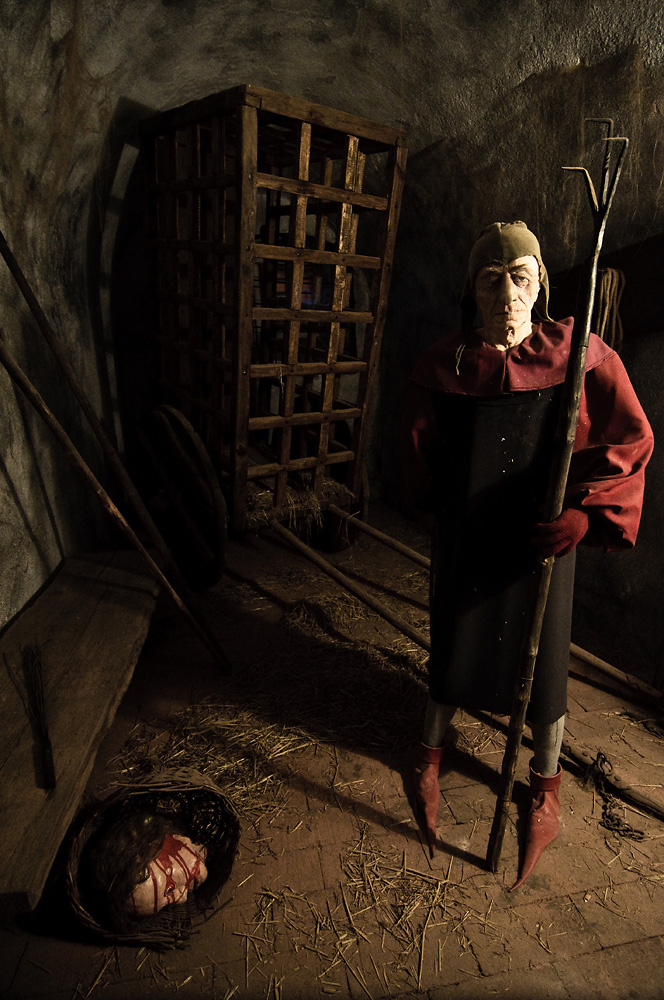 _DSC7953.jpg - Tomasz Zych       tomzych.com