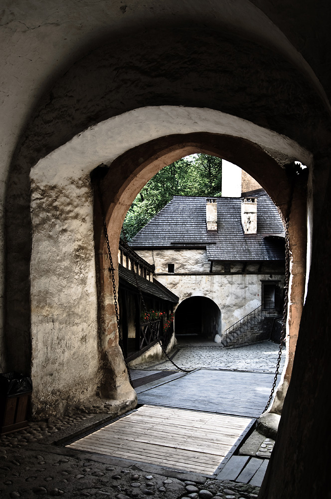 _DSC8921.jpg - Tomasz Zych       tomzych.com