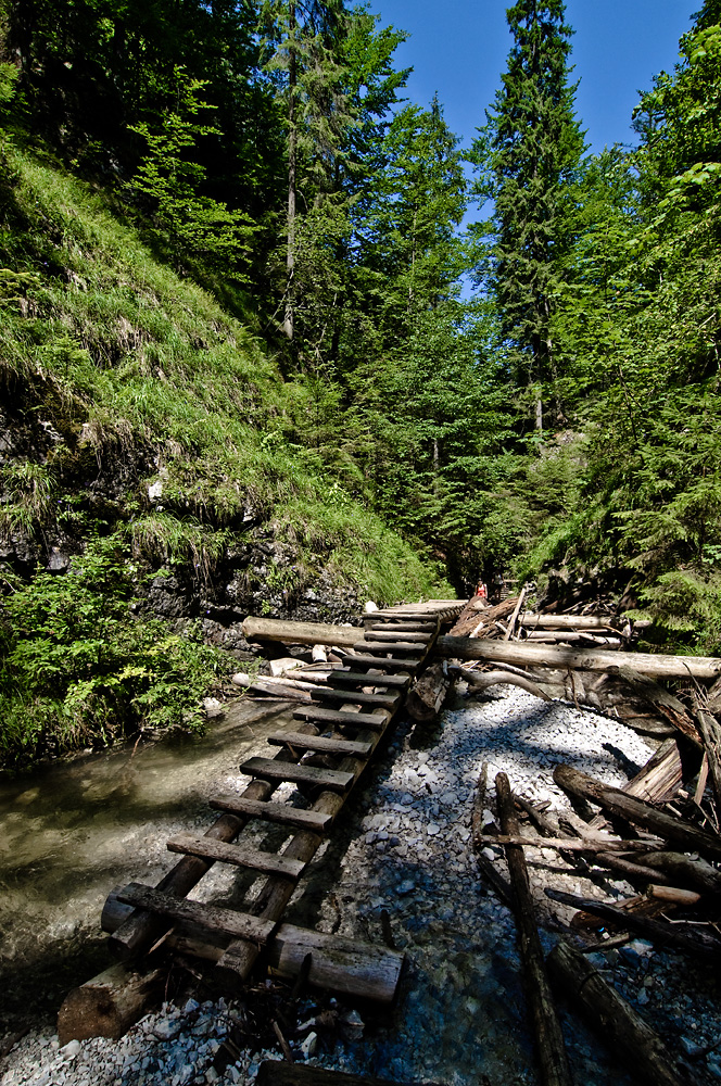 _DSC9182.jpg - Tomasz Zych       tomzych.com