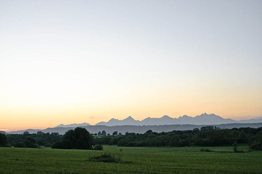 _DSC9194.jpg - Tomasz Zych       tomzych.com