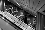 dsc00499