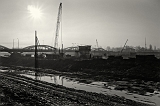 DSC01490