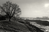 DSC01491