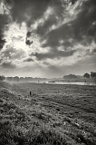 DSC01985