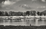 DSC01989