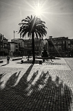 dsc02136