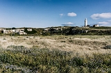 DSC04768