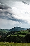 09_05_31_bardo_nr